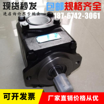 Denison high-pressure oil pump T6E-066-1R01-A1 vane pump T6E-072-1R03-A1 Pressure help Pump