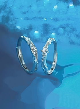 星芒情侣对戒巨好看轻奢高级感