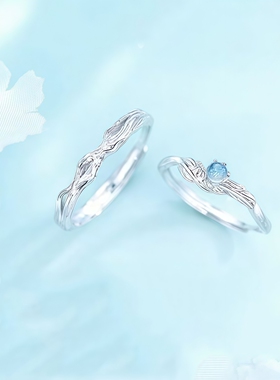 蓝桉与鸟情侣对戒轻奢高级学生党