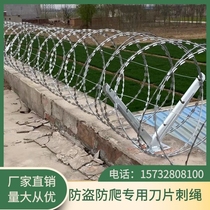 Blade Thorn rope galvanized Galvanized Wire Roll Cage Stainless Steel Anti-Creep Nets Iron Tribulus Antitheft Wall Nets Prison Nets