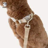 Труба его домашняя собака сотрудничество ведущая веревка в стиле веревки валин лучше -собаки с собаками, вышитые в Южной Кореи INS