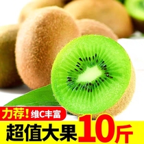 Shaanxi Green Heart Kiwifruit Fresh 10 Big fruits When season full box Fruit catty pregnant woman Order Exotic Fruit Whole Boxes