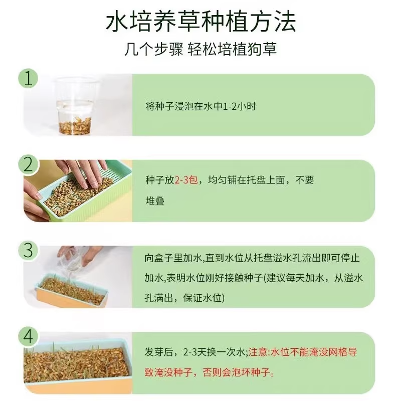 狗草狗可以吃的草狗狗食用草种子宠物排毛球猫草小麦草清洁口腔 - 图3