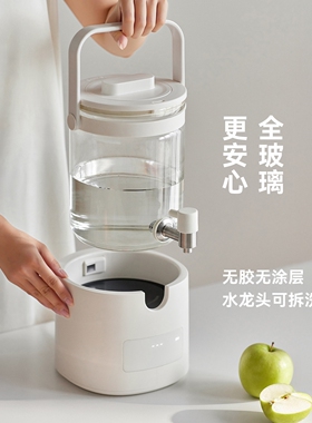 olayks立时全玻璃养生壶炖煮一体煮茶器花茶壶烧水壶