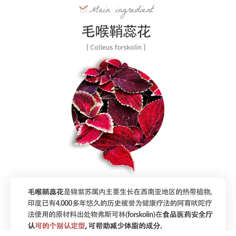 韩国migung纤体毛喉鞘蕊花海外保健 migung海外海外保健体重管理