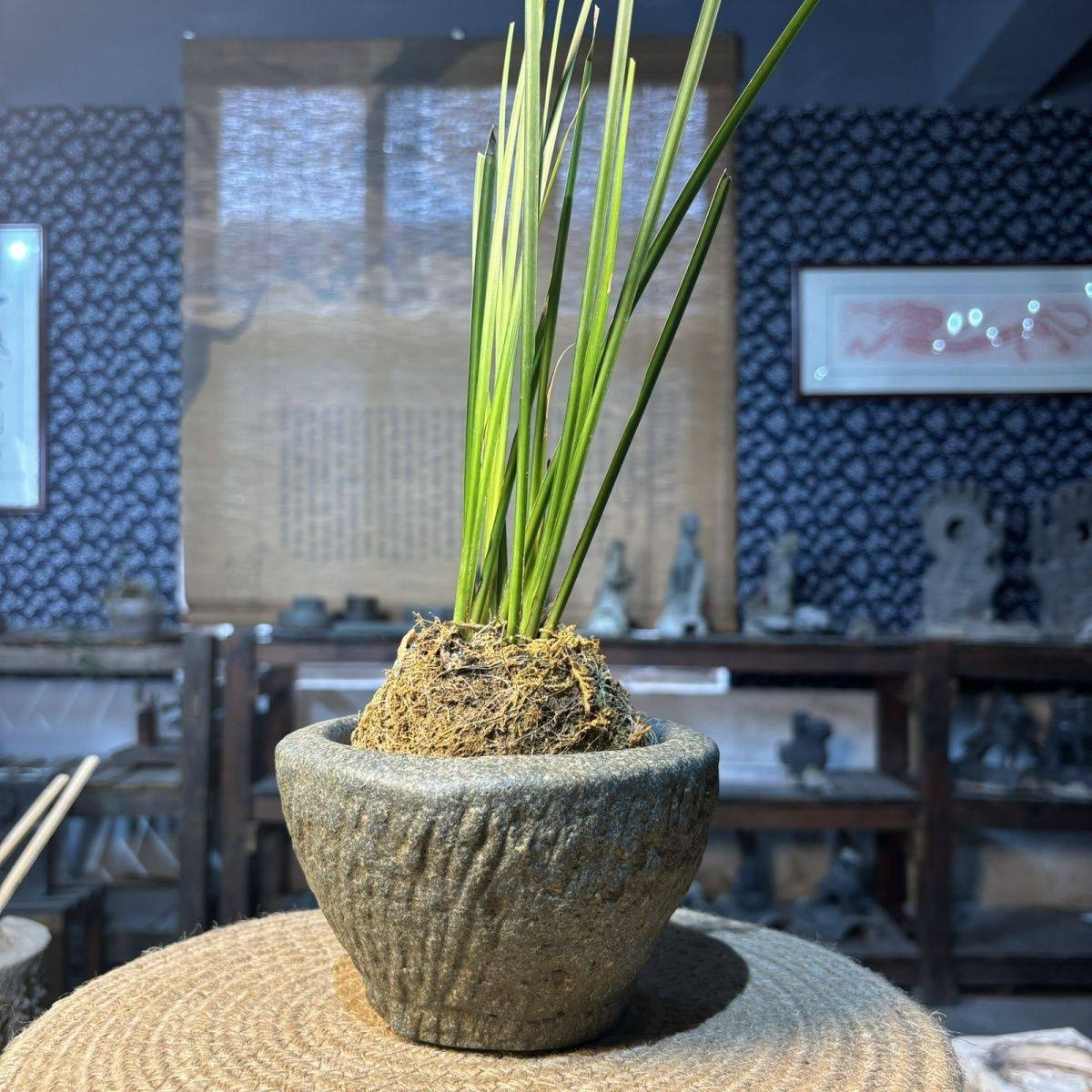 仿古石臼中国风中式水培水仙盆碗莲睡莲铜钱草花盆造景仿老式手工,淘宝优惠券,粉丝福利购,淘宝优惠卷