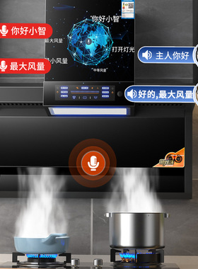 专柜厨具吸力抽油烟机家用厨房顶侧双吸7字型小型免拆洗脱一体油