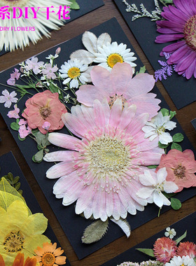 相框手工diy滴胶押花花瓣材料包