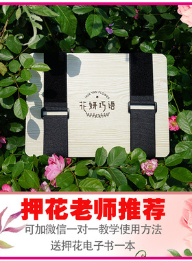 押花器植物标本制作工具水果片干