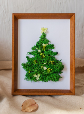 植物标本贴画永生花创意手工diy