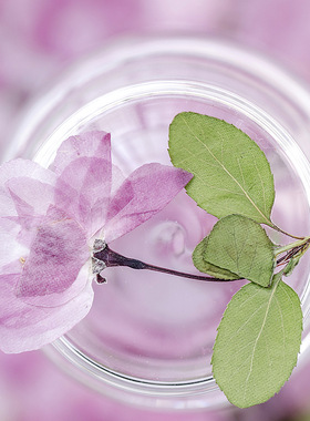 手工干花植物标本diy滴胶香薰