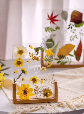 母亲节礼物实木透明双面玻璃diy