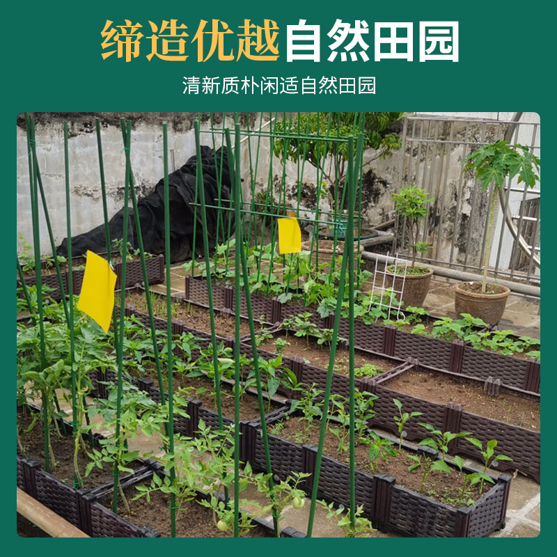 黄瓜爬藤架豆角架杆西红柿架种菜蔬菜搭棚子架植物支撑杆包塑钢管 - 图2