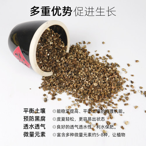蛭石扦插用乌龟冬眠孵化盆栽透气发根育苗龟孵化扦插粗大颗粒育苗 - 图2