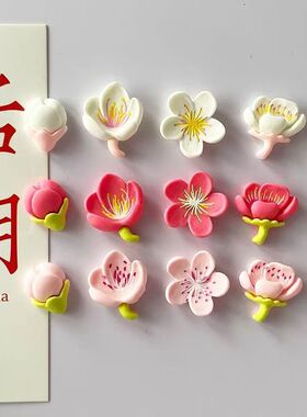 小清新3A田园花朵冰箱贴桃花磁铁创意白板卡通磁性贴固定留言板
