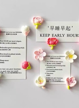 小清新田园花朵冰箱贴桃花磁铁创意白板卡通磁性贴固定照片留言板