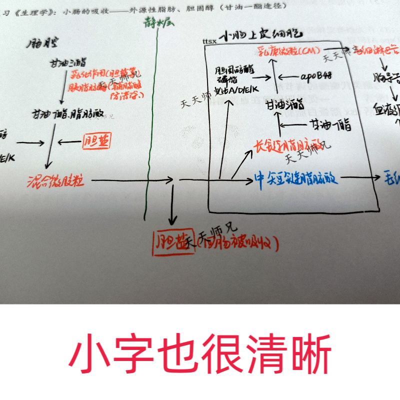 2024/2025天天师兄填空讲义彩色印刷遇水不花80g厚纸印刷 - 图2