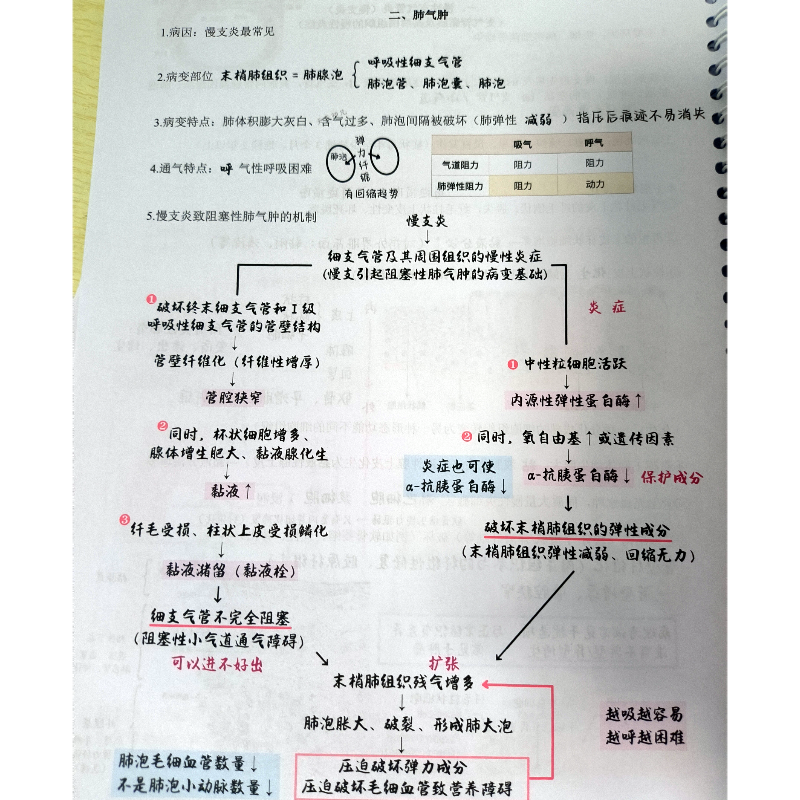 2024/2025天天师兄ttsx姜人小饼干跟课笔记80g彩印圈装 - 图0