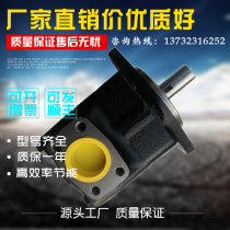 The Rolex Rexroth vane pump R900931548 PVV4-1X PVV4-1X 082RA15DMC