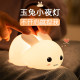 Jade Rabbit Night Light Q ເວົ້າກ່ຽວກັບຄວາມໜ້າຮັກ ແລະ ຄວາມອ່ອນນຸ້ມສຳລັບການນອນ
