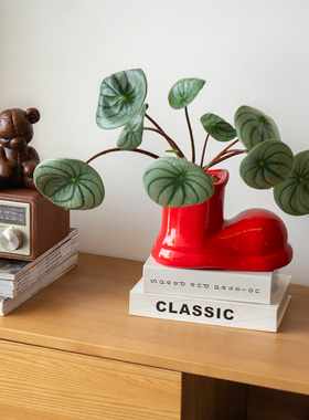 森空间桌面花盆装饰搭配红靴子