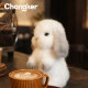 Chongker Rabbit Ferret Piggy Ornament Plush Cute Doll ຂອງຂວັນວັນເກີດຂອງເພື່ອນທີ່ດີທີ່ສຸດ