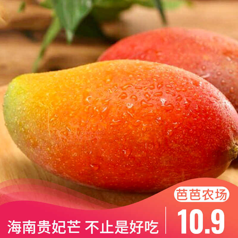 四季芒 新人首单立减十元 22年4月 淘宝海外