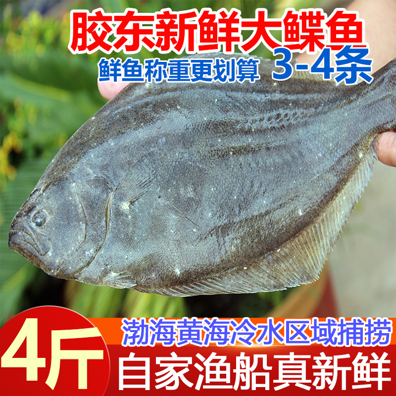 新鲜片口鲽鱼4斤多宝鱼鲜活比目鱼花岗鱼菱鲆鱼海鱼冷冻海鲜水产 - 图0