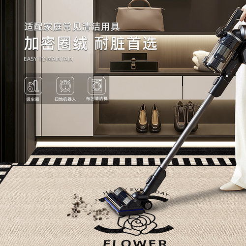 入户门地垫轻奢风进门门口耐脏免洗室内脚垫家用玄关免洗可擦地毯 - 图1