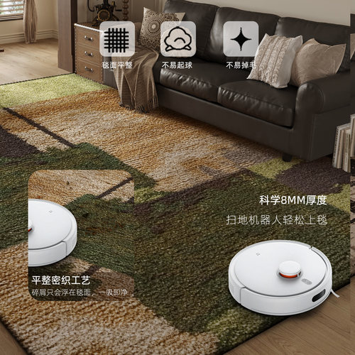 地毯客厅轻奢复古2026新款免洗可擦卧室床边毯防水防污地垫好打理 - 图1