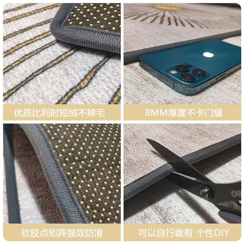 入户高端门口进门家用入门轻奢门垫 欧莱森地垫