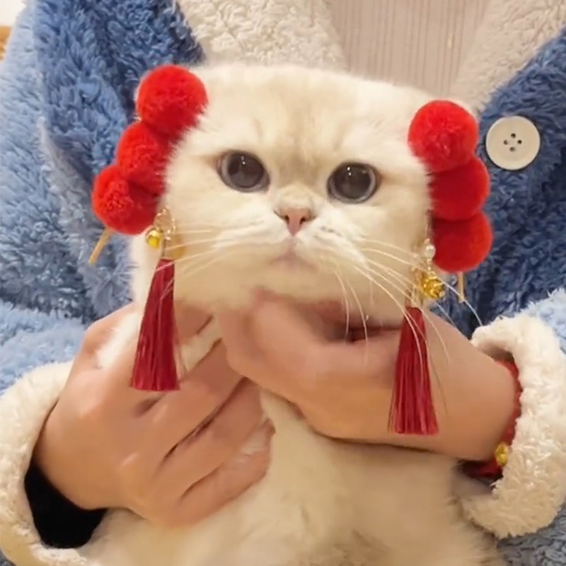 宠物发卡可爱猫咪布偶马尔济斯泰迪狗狗新年装扮品糖葫芦发夹头饰,淘宝优惠券,粉丝福利购,淘宝优惠卷