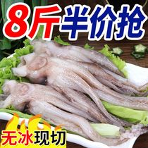 8 catty squid fresh squid fresh fresh live frozen sea catch wholesale ice fresh squid whole box quick-frozen 5 catty wholesale price