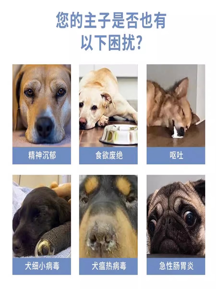 狗狗细小病毒特效药犬瘟热治疗药套餐预防拉血抽搐呕吐单抗干扰素-图0