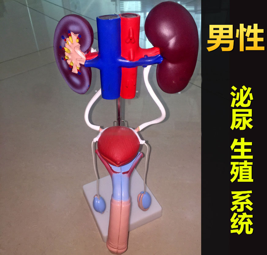  华创医疗器械医用用具