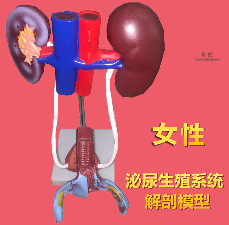  华创医疗器械医用用具