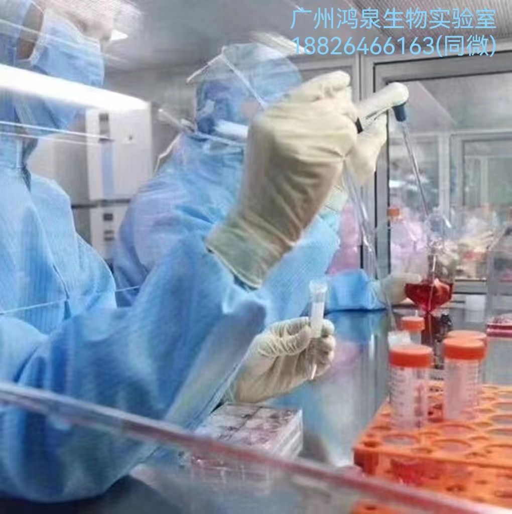 无菌脱纤维鸡血100ml 天然新鲜血平板生产 生物医学研究 科研实验 - 图3