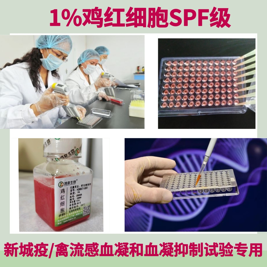 新鲜1%鸡红细胞SPF级100mlSPF公鸡红细胞血凝血抑试验抗体检测用 - 图0