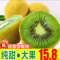 Xu Shanqi Exotic Fruits Fresh Fruits Should Season The Whole Box Authentic Green Heart Pregnant Woman Clay Macaque Exotic Great Fruit