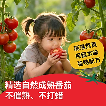 大山合番茄酱沙司268gx2瓶[17元优惠券]-寻折猪