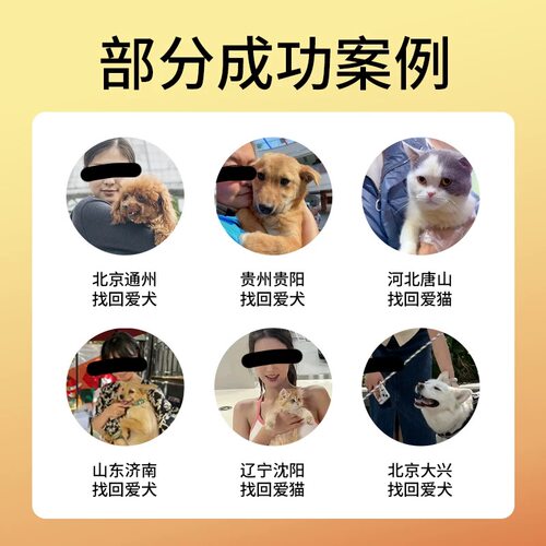 沈阳大连找猫服务找狗服务寻猫团队宠物侦探寻找宠物搜救找猫团队 - 图1