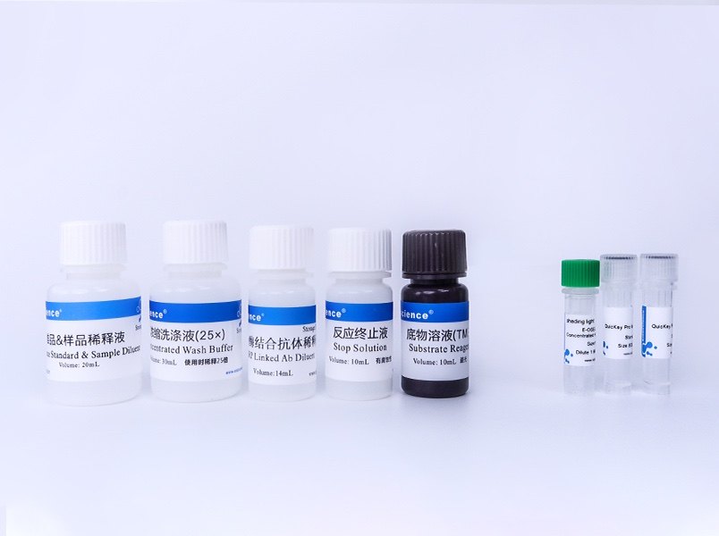 Elabscience® QuicKey Pro-鸡雌三醇 酶联免疫吸附测定试剂盒 - 图2