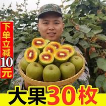 Pu Jiang Red Heart Chic Exotic Fruit Fresh Chic Fruits When Season Full Box When Season Pujiang Red Star Clay Monkey Peach Hut