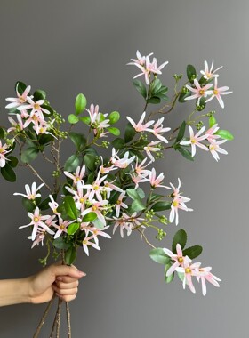 单支木兰花仿真花风车茉莉干里香七里香婚庆装饰花丁香花道具假花