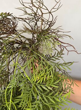 厂家现货 仿真植物藤条细柳叶 垂吊绿植米兰草 假花艺墙面装饰
