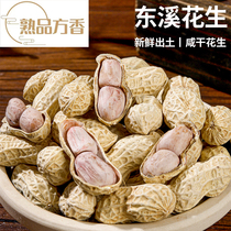 Sichuan Chongqing Tut production Qijiang Dongxi Lawn Mianzi Peanut Farmyard Water Cooking Salt Salty Dried Peanuts With Shell