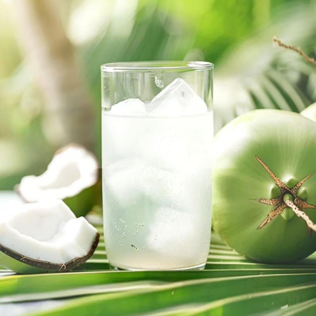 物美自营良食记椰汁正宗植物蛋白椰奶椰子水饮料310g*10瓶礼盒装