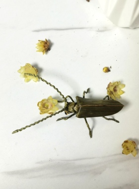 非遗文化工艺品草编昆虫棕编天牛