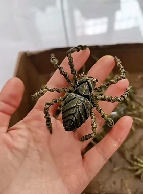 非遗棕编工艺品纯手工编织成品摆件家居装饰品创意礼品仿真蜘蛛