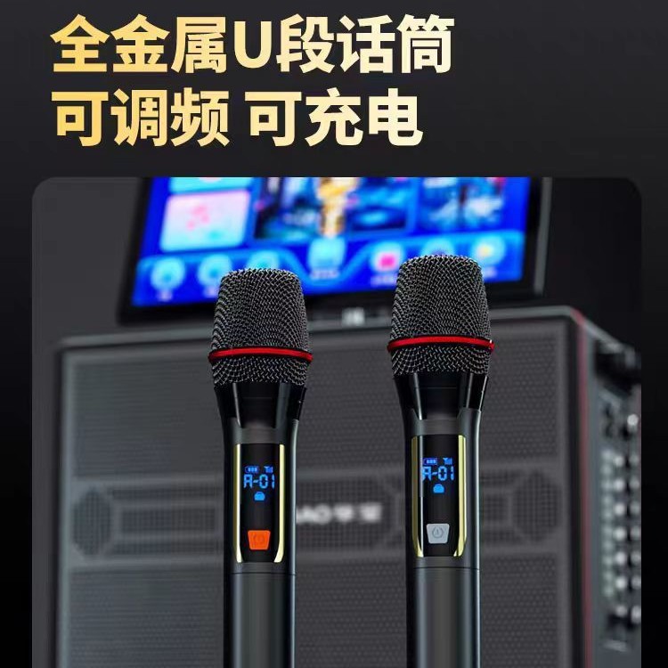 Home ktv audio set square dance sound